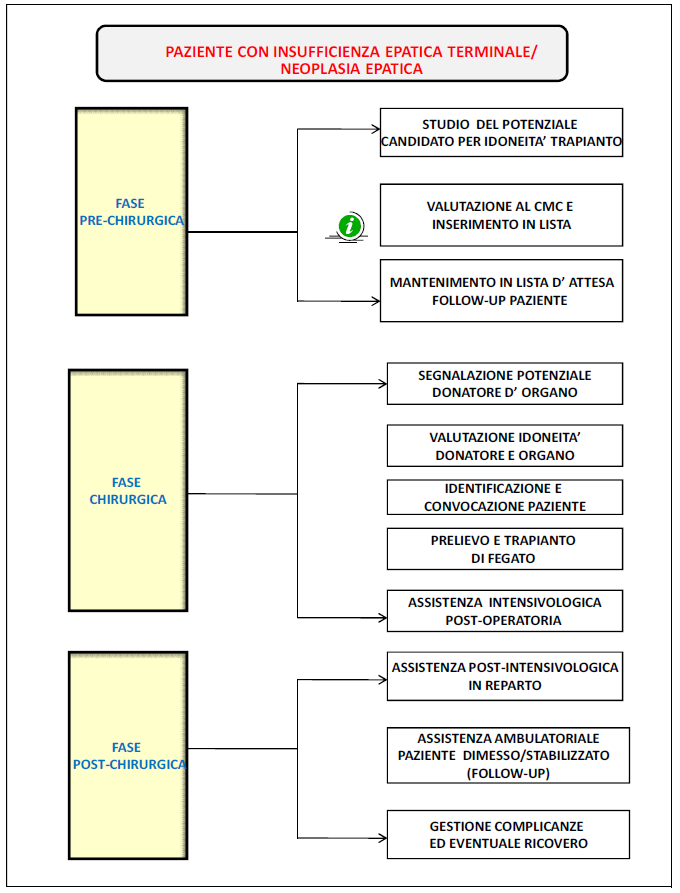 diagramma-malattia-fegato